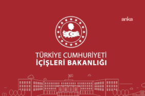 39599a05c0e2c331d9e5e689bfb7e612