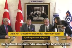 4b514da636daec0e3167ddeb4e298bd5