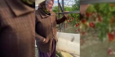 cb87d8efd584e7b48224ef3467786ecb