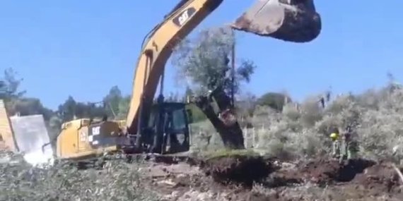 62df1c39b9fec3a5967855ccb5d5580f