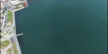 7ef7b2065a2f2a75f23c17e4845ea8aa